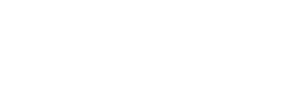 少林武術 — Shaolin Martial Arts calligraphy